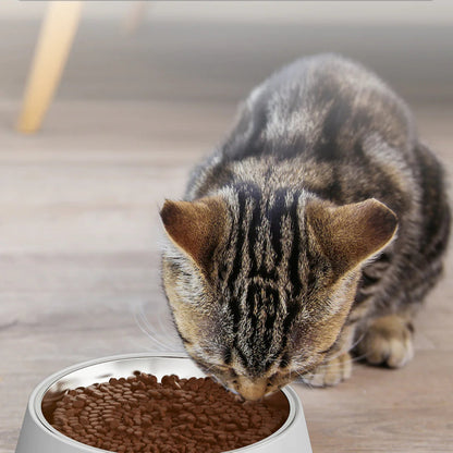 Automatic Cat Feeder With Camera